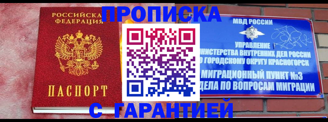 временная регистрация недорого в Благовещенске